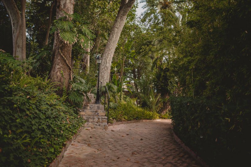 Servicio de organización completa en empresa de wedding planner málaga idealdream